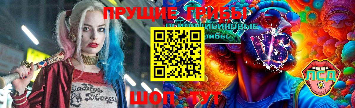 Когалым  Псилоцибиновые грибы Psilocybine cubensis  Вход с VPN 
