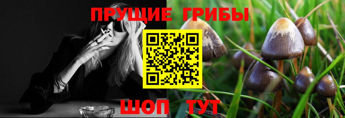 Псилоцибиновые грибы мицелий Когалым